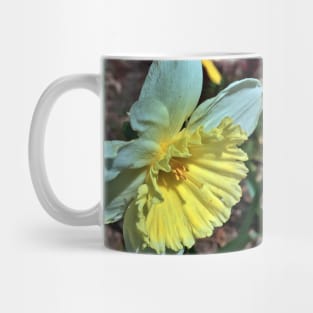 Daffodil  - Early Spring Blooms Mug